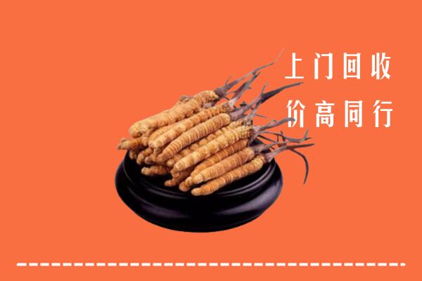 高价求购：下陆区回收散虫草