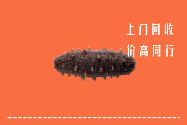 下陆区回收海参