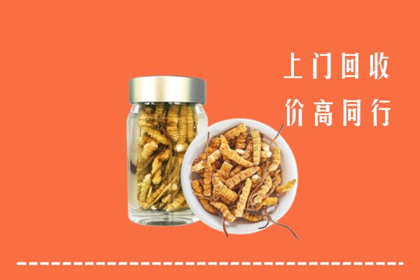 下陆区回收冬虫夏草